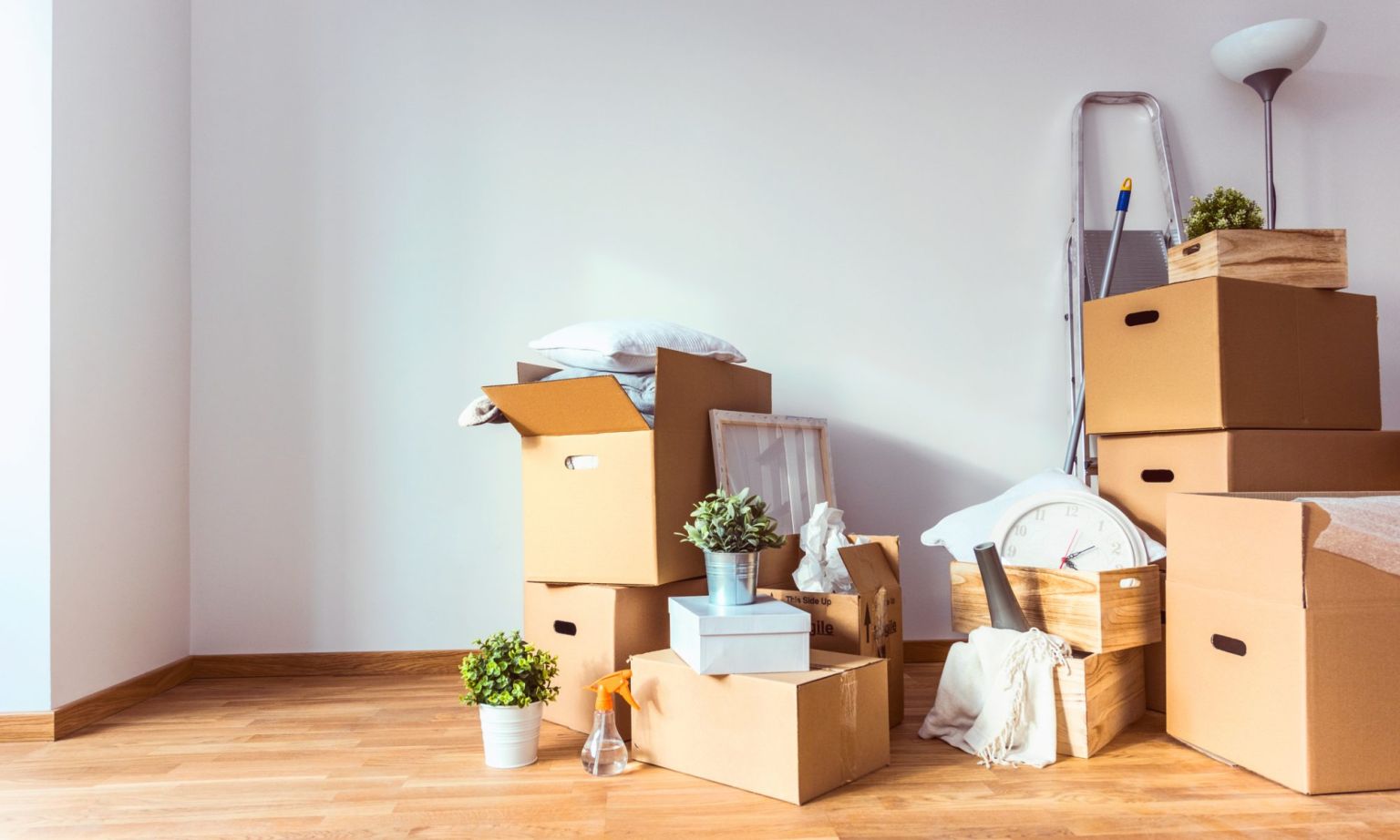 despejo direito imobiliario advogado imobiliario